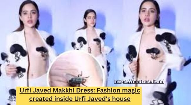 Urfi Javed Makkhi Dress: Fashion magic created inside Urfi Javed's house